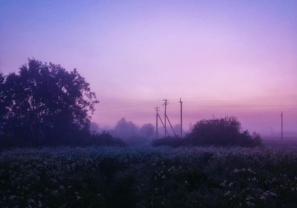 老铁们,2020年的假已经在路上了